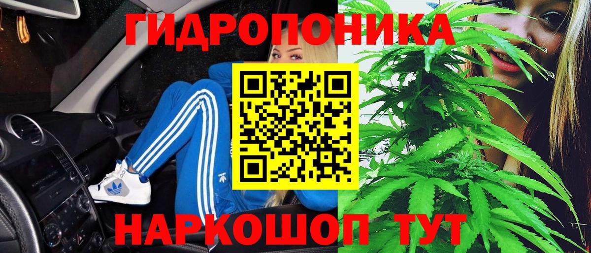 Бошки Шишки MAZAR Ахтубинск